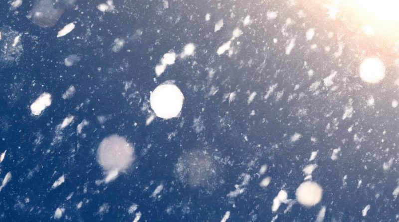 Which digital cameras work well in cold or extreme weather